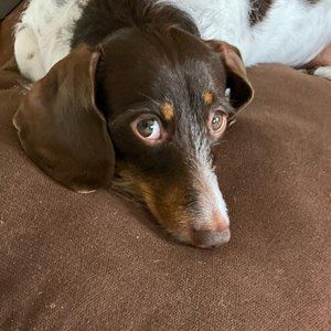 Meet your Posher, Jay